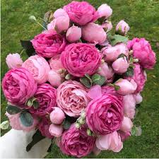 Compare herbaceous, tree and intersectional peony plants and see pictures of recommended peonies to grow in your garden. Home Garden Artificial Silk Peony Flowers Bouquet Fake Leaf Wedding Party Decor Wish