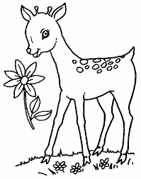 Show your kids a fun way to learn the abcs with alphabet printables they can color. Free Printable Deer Coloring Pages For Kids