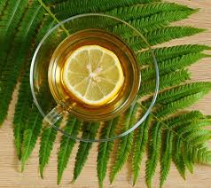 Bagirsaklardan Cilt Sagligina Faydalariyla Merak Uyandiran Isim Egrelti Otu Yemek Com Egrelti Otu Otlar Dogal