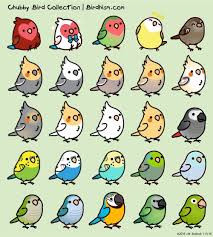 Oh My Bajezuz Cute Doodles Kawaii Drawings Cute Birds