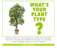 I don't know what other. Nearly Natural Artificial Plants Trees And Flowers What Kind Of Plant Person Are You Milled