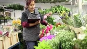 Maybe you would like to learn more about one of these? Mayesh Wholesale Florist We Take The Extra Step Youtube