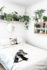 How To Turn Any Space Into An Urban Jungle Kessler Ramirez Art Travel Room With Plants Shelf Decor Bedroom Jungle Room