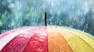 The difference between rain and showers – Weather News