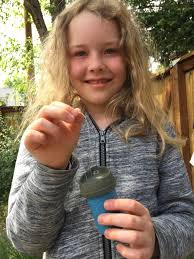 The Good and Bad of Fishing Line