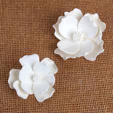 Image result for Magnolia White 1980 Amos and Sons