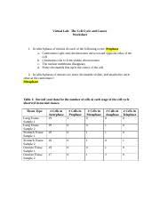 Mitosis virtual lab determine what phase of mitosis the cells are in. The Cell Cycle And Cancer Worksheet Finished 1 Virtual Lab The Cell Cycle And Cancer Worksheet 1 In Which Phase Of Mitosis Do Each Of The Following Course Hero