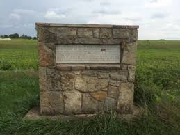 Image result for Newtonia