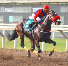 FINAL CALL VENCIÓ DE UN EXTREMO A OTRO