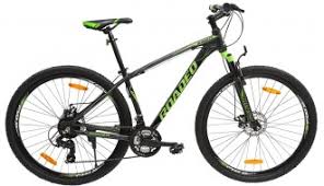 Image result for top 10 cycles in india