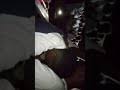 تحميل ماهر العلقلي mp3 mp4. Ø§Ù„Ù…Ø²Ø±ÙˆØ¹ Ø·Ø±Ù Ø§Ù„Ø¬Ù†Ø§ÙŠÙ† Mp3
