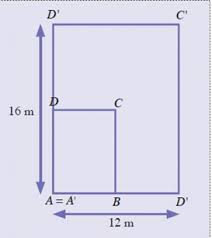 Hasil bayangan yang dibentuk dari dilatasi hanya ada dua jenis: Literasi Dilatasi