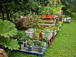 (यहाँ आपको 8 step में details से बताया गया है). Budget Smart Gardening Hacks How To Make A Garden Without Spending A Penny Urdu Hindi Youtube