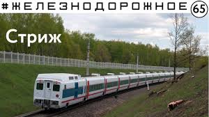 Результат пошуку зображень за запитом "стриж"