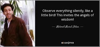 Mehmet Murat Ildan Quote Observe Everything Silently Like A Little Bird This Invites The