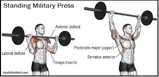 It Is Important To Build Up The Shoulder Muscles As Your Upper Body Just Isn T Complete Without It T Dumbbell Shoulder Press Military Press Plyometric Workout