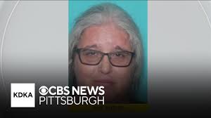 Investigation underway after body of missing woman Amy Shipley found in  Cook Township