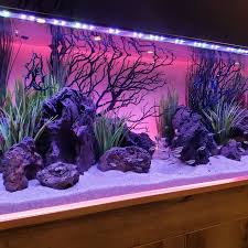 Aquapros Mike On Instagram Current Usa Has Some Pretty Sweet Backlighting Cool Fish Tanks Fish Tank Themes Amazing Aquariums