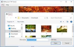 One of the most popular viewers worldwide. Download Tiff Viewer 2 0