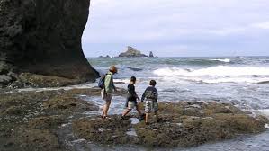 Navigating Olympic National Parks Beaches With A Tide Chart