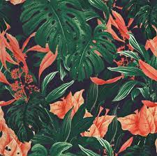 These are gorgeous flower patterns. Free Floral Pattern On Behance