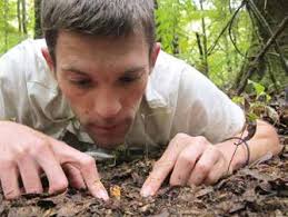 Report 2013-2014 Naturalis