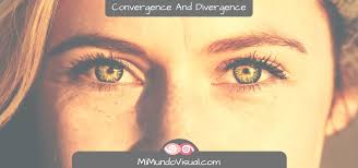 Image result for artistic divergence eyeballs