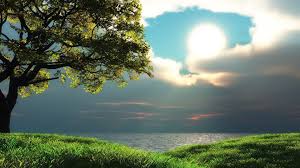 Feel free to use all of these nature images for commercial use. What Its Like To Have A Strong Bond With Narure The Outdoors And The Benifits It Gives New Nature Wallpaper Best Nature Wallpapers Hd Best Nature Wallpapers