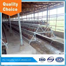 Poultry Farm House Design Layer Egg Chicken Cage For Uganda