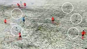 Sivasspor ise 8 aralık cumartesi günü sahasında göztepe 'yi ağırlayacak. Snow Falls In Turkey And Team Playing In White Become Invisible Marca