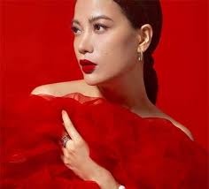 Trương Ngọc Ánh bức xúc lên tiếng vì bị chỉ trích hứa làm từ thiện rồi bỏ