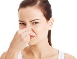 When you order $25.00 of eligible items sold or fulfilled by amazon. Zit Smells Like Vinegar