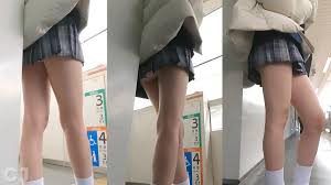 JKウォッチング66 冬の2日｜PALPIS（パルピス）