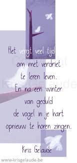 Kris Gelaude Het Vergt Veel Tijd Illustratie Joke Eycken Inspirererende Citaten Inspirerende Citaten Instagram Citaten