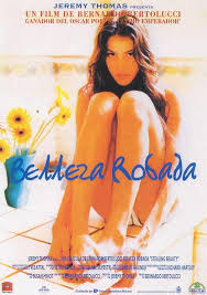 Stealing Beauty (1996)