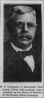 The Story of Epmore Drive