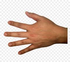 Hands Png Free Images Back Of Hand Transparent Background Png Download Vhv Easily make the background of your image transparent for free. hands png free images back of hand