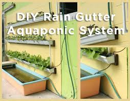 Diy Rain Gutter Aquaponic System Off Grid World