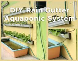 In fact, i've seen them being shared online for quite some time now, especially on pinterest. Diy Rain Gutter Aquaponic System Off Grid World