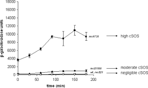 Regulation Of Bacterial Metabolism