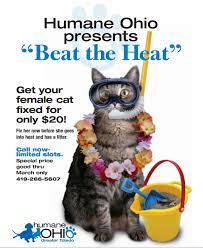 Beat The Heat Spay Poster Neuter Pet Event Spay