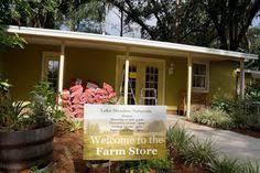 30 best orlando central florida healthy traveler images healthy travel holistic treatment central florida pinterest