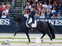 Wir bieten eine erstklassige und exzellente auswahl an pferden mit dem schwerpunkt dressur an. Absage Wm Der Jungen Dressurpferde Findet Nicht Statt Equestrian Worldwide Pferdesport Weltweit Eqwo Net