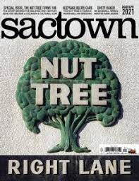 Local Chocolatiers Make Melt In Your Mug Hot Cocoa Bombs Sactown Magazine