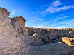 Image result for Struthiola montana