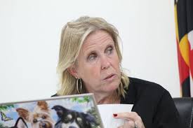 Federalsburg council member confronts colleagues over emails calling her  'rogue'