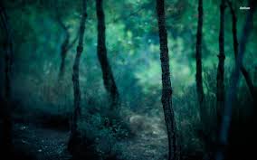 Dark Forest Dark Forest Wallpapers Wallpaper Cave Forest Wallpaper Forest Pictures Dark Wallpaper Get yours from +1,000 possibilities. dark forest wallpapers wallpaper cave
