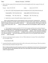 Sbi4u Mutations Worksheet Answers 1 Below Is