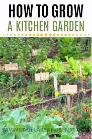 Planning A Productive Kitchen Garden Plants Building Raised Vegetable Garden Vegetable Garden For Beginners