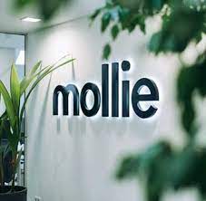 They listen to music a lot to get away from things. Niederlandisches Psp Fintech Mollie Will Sich Auf Deutschland Fokussieren